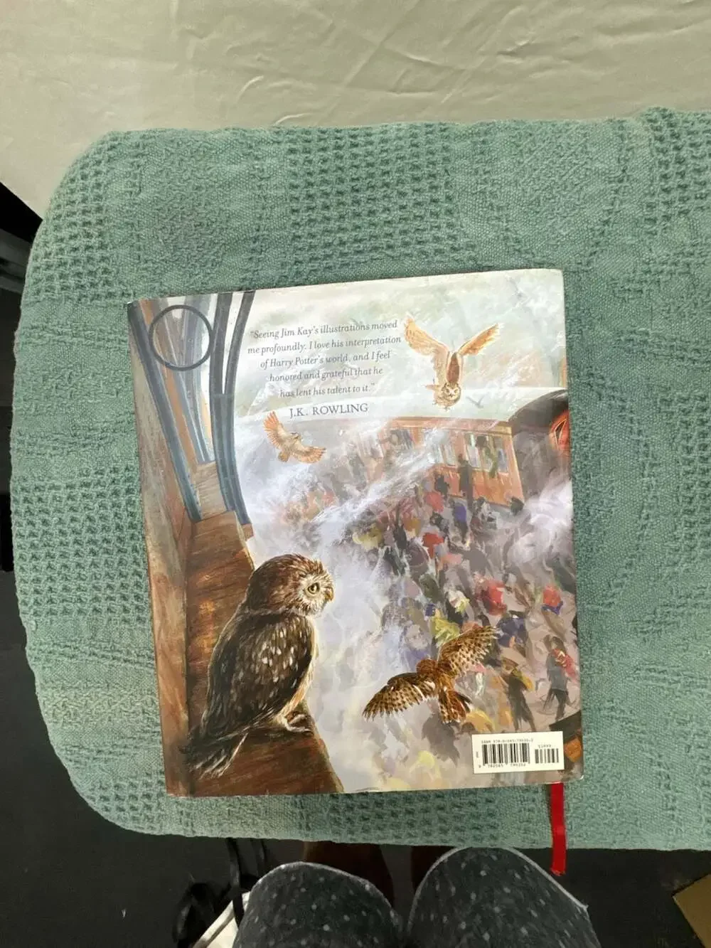 Harry Potter and the Sorcerer's Stone: The Illustrated Edition by J.K. Rowling (